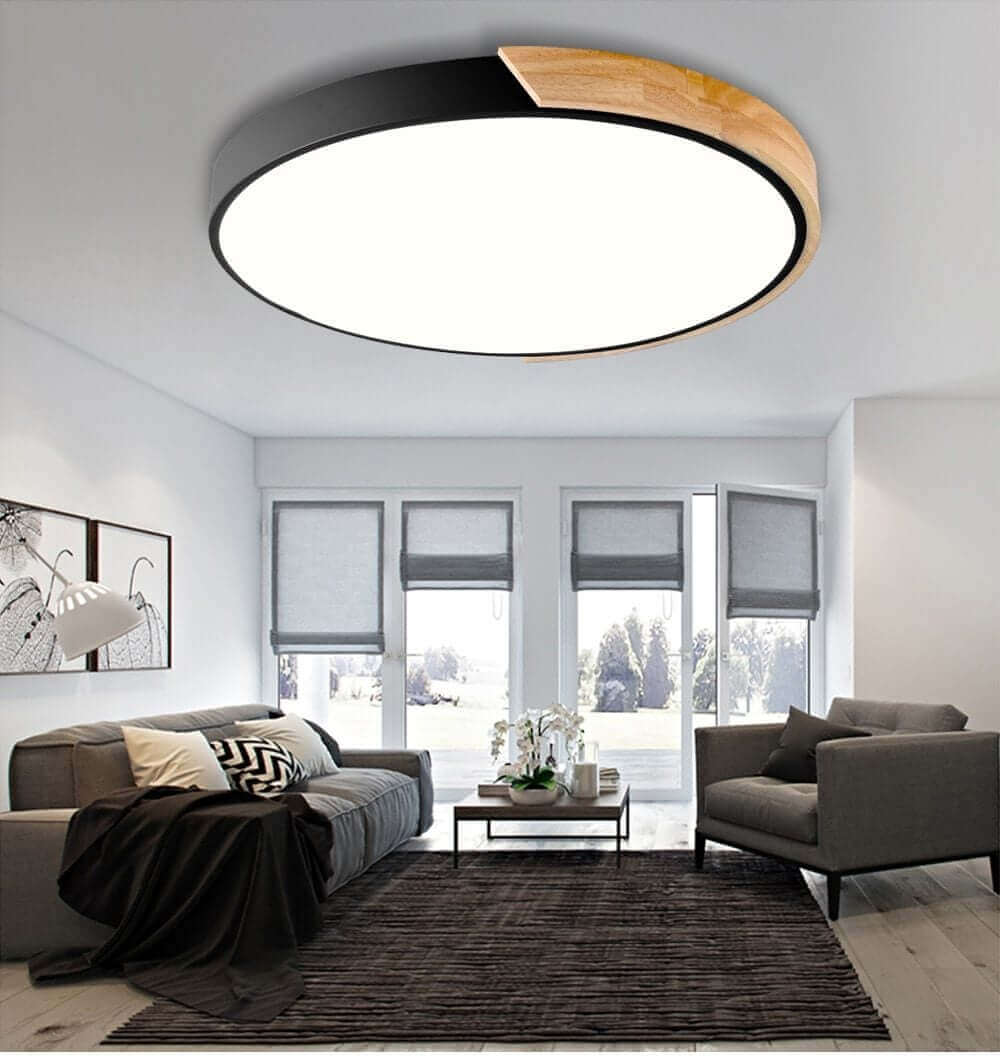 Cold White Ceiling Lights Fixtures - Lamps-Ceiling Light-NOFRAN