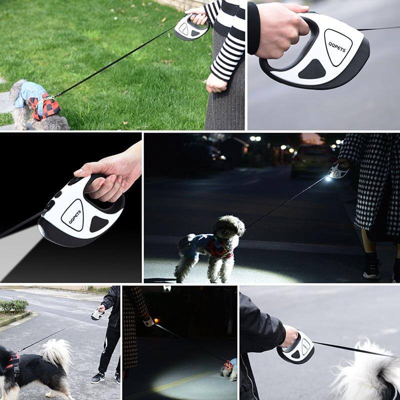 Leash-Automatic Retractable LED Dog Leash - NOFRAN
