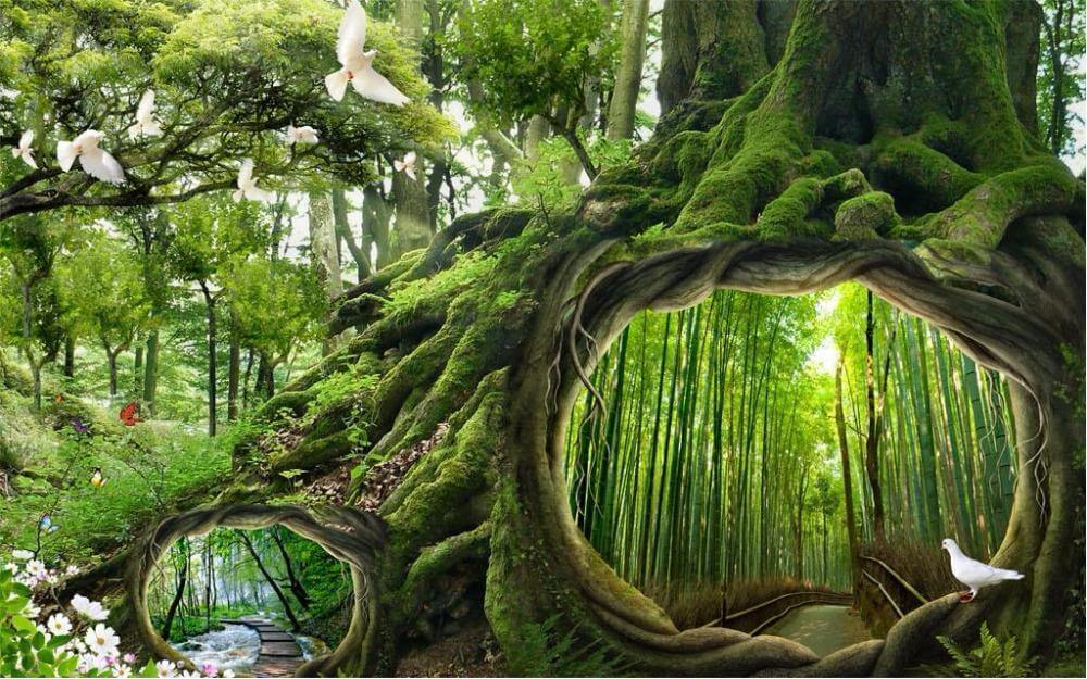 Magic Forest Wallpaper, Nature - NOFRAN